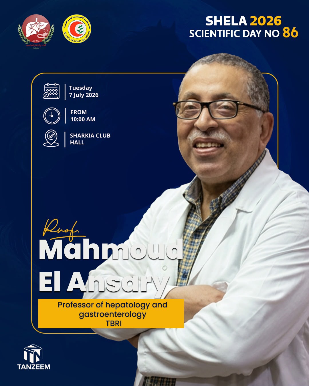 محمود الانصاري