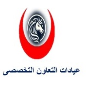 Heba Mohsen