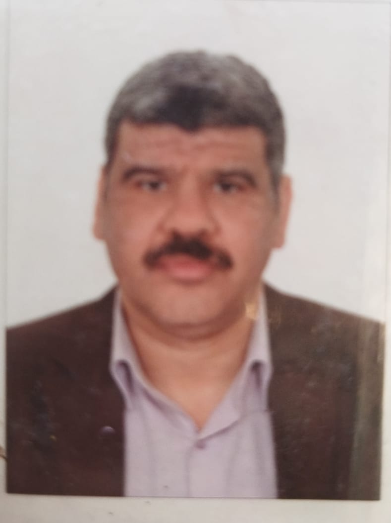 Mohamed Mohamed Megahed