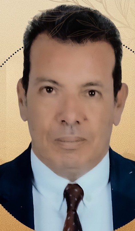 Amr Abdel-Hady El-Meligy