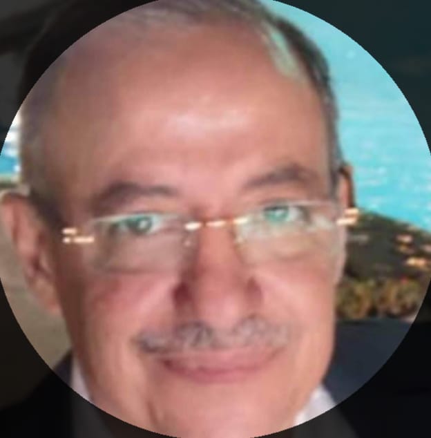 Mohamed Wali